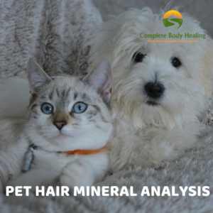 Hair Mineral Analysis for Pets